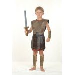Warrior Boy Fancy Dress Party Costume Age 7-9