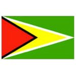 Guyana National Flag 5ft x 3ft