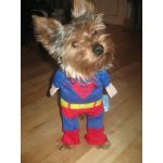 XSMALL Superman Dog Cat Puppy Halloween Costume Clothes Pet Apparel Superdog Dress Up - Pet Supplies by Accessorybee