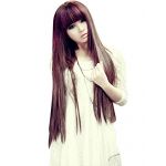 Cosplay Party Daily Stylish Women Lady Long Straight Hair Full Wigs Neat Bangs Dark Brown