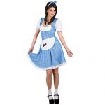 Country Girl - Adult Ladies Fancy Dress Costume Lady: S (UK:10-12)