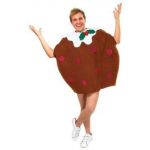 Christmas Pudding - Adult Fancy Dress Costume - One Size
