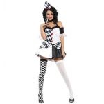 Harlequin costume - adult fancy dress costume Harlequin costume - adult fancy dress costume