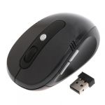  Portable Optical Wireless Mouse RF 2.4GHz USB Receiver