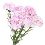 6 x Artificial Flowers Carnation Plants for Wedding Bouquet Decoration Table Arrangement (White and Purple)