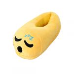 Winter Men And Women Home Plush Slippers (B)